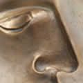 janus